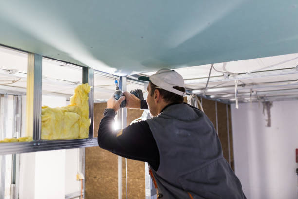 Best Fiberglass Insulation  in Wellington, UT