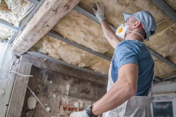 Best Insulation for New Construction  in Wellington, UT