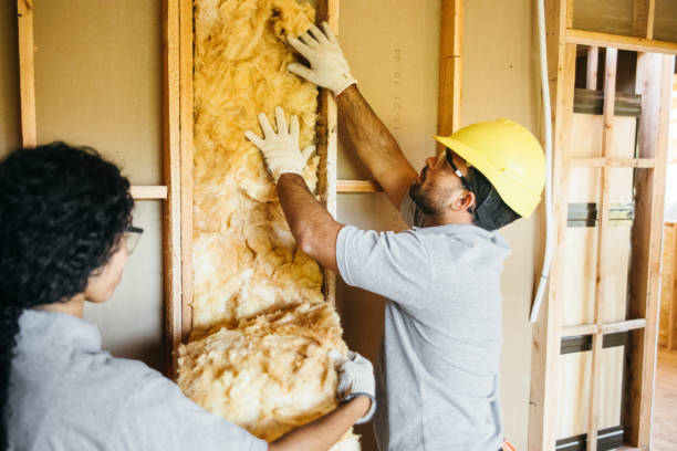 Best Attic Insulation Installation  in Wellington, UT