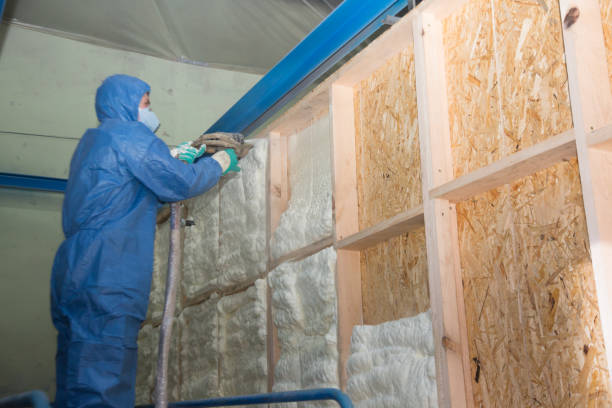 Best Best Insulation Companies  in Wellington, UT
